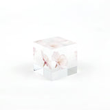 Sola Cubes - Sakura (Cherry Blossom)